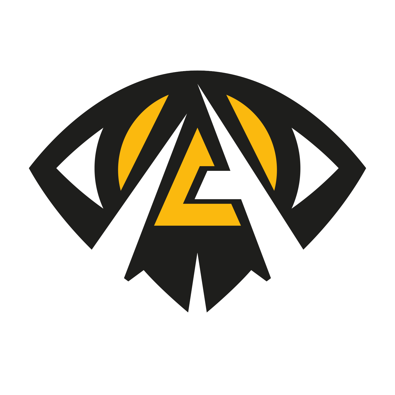 Anonymo Esports